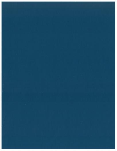 AGCO 1918 1920 Lawn Tractor Power Steering (section) Service Manual 79004698 English