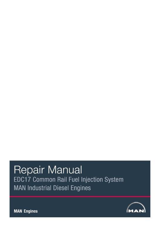 AGCO MAN Diesel Engine EDC17 Common Rail Fuel Injector System Service Manual 79037662A English